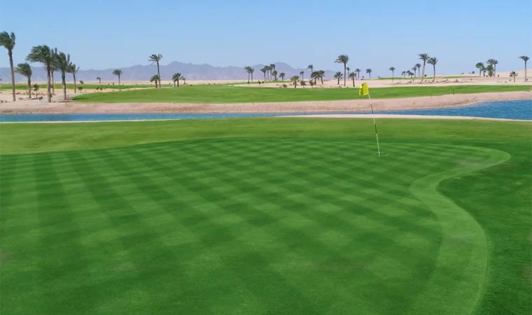 Anient Sands Resort El Gouna Anient Sands Resort El Gouna