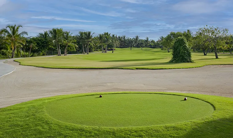 Ein üppiger Golfplatz im Paradies Palma Real mit einem kreisförmigen grünen Abschlag im Vordergrund, umgeben von Sandbunkern, Palmen und gepflegtem Gras unter einem blauen Himmel mit vereinzelten Wolken.