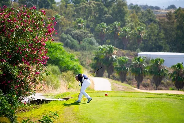 Ein ganz in Weiß gekleideter Golfer schwingt seinen Schläger auf einem üppig grünen Golfplatz, der an die atemberaubenden Golfplätze Portugals erinnert und von leuchtend rosa blühenden Sträuchern und Palmen gesäumt ist – unter einem strahlend blauen Himmel.