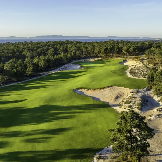 Luftaufnahme eines üppig grünen Golfplatzes, umgeben von dichtem Wald und Sandbunkern, vor dem Hintergrund ferner Berge und eines blauen Himmels – perfekt für eine Irland-Rundreise entlang der Ostküste.