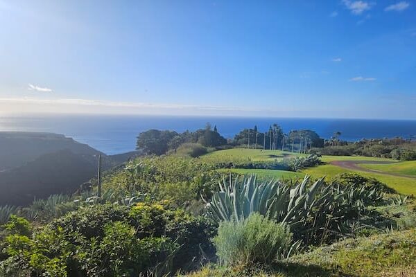 la-gomera Küstenlandschaft mit üppig grüner Vegetation im Vordergrund, einem Golfplatz im Mittelgrund – ideal für einen Golfurlaub auf Teneriffa oder La Gomera – sowie dem blauen Meer und Himmel im Hintergrund unter strahlendem Sonnenschein.
